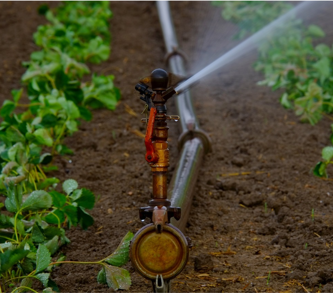 Irrigation Project